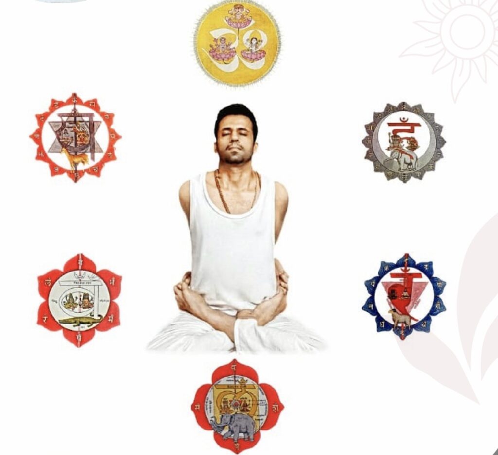Daily Yoga Classes screenshot